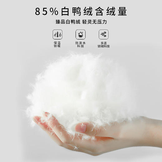 深圳南方科技大学（宝安学校）小学羽绒马甲85%白鸭绒背心保暖立领无袖（送校徽）（羽绒马甲均为整码） 商品图3