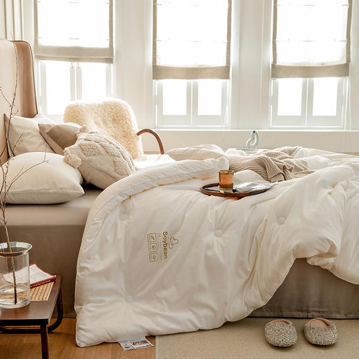 一年仅团一次！【艾能驱寒大豆春秋被，冬被】大豆蛋白纤维+艾草纤维 亲肤柔软 吸湿透气  ，现货发出，不用等预售~ 商品图5