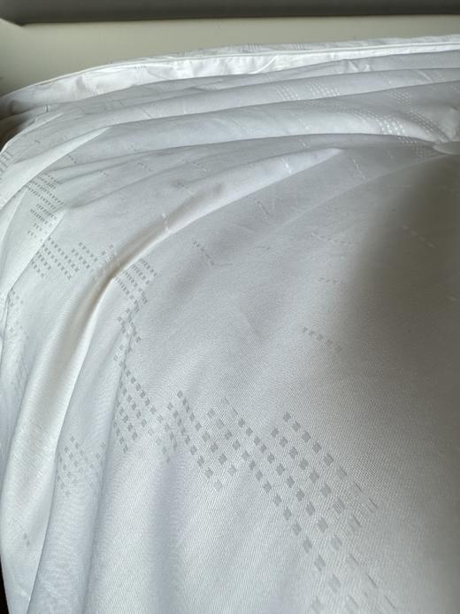 一年仅团一次！【艾能驱寒大豆春秋被，冬被】大豆蛋白纤维+艾草纤维 亲肤柔软 吸湿透气  ，现货发出，不用等预售~ 商品图6