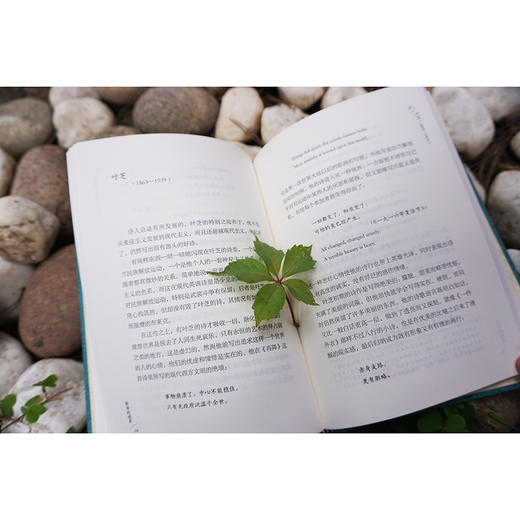 译家之言-英诗的境界 商品图2