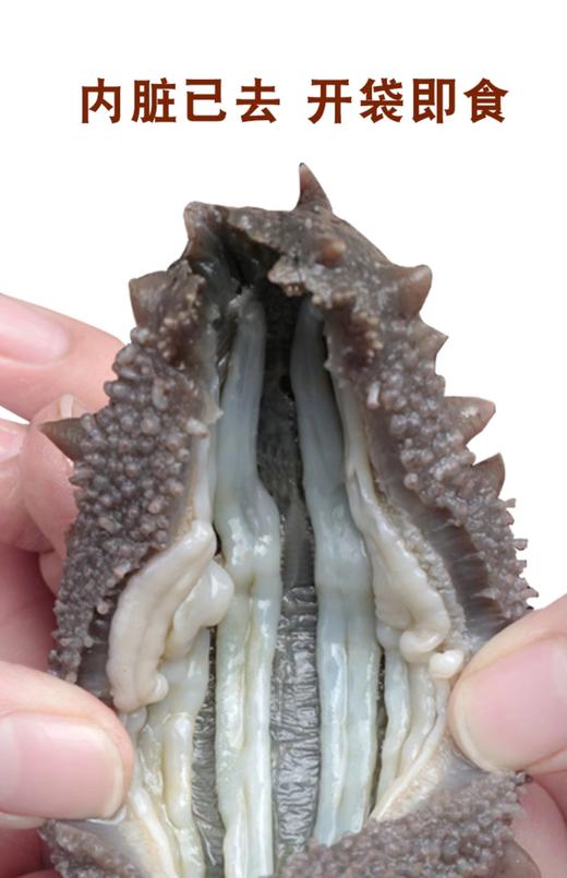 VY固力源即食海参超值组活动专供 商品图1