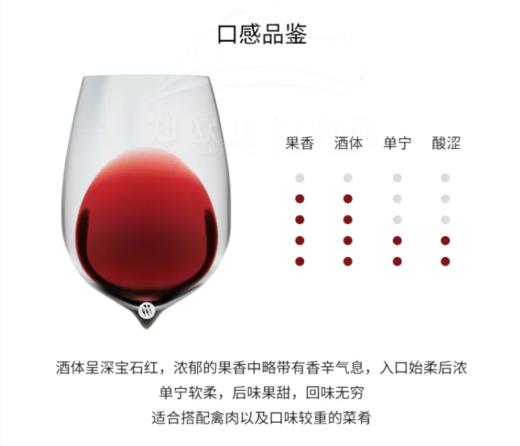 【中欧班列直供】法国红酒  芮贝特梅洛-朗格多克优良地区葡萄酒红酒 750ml/瓶 商品图7