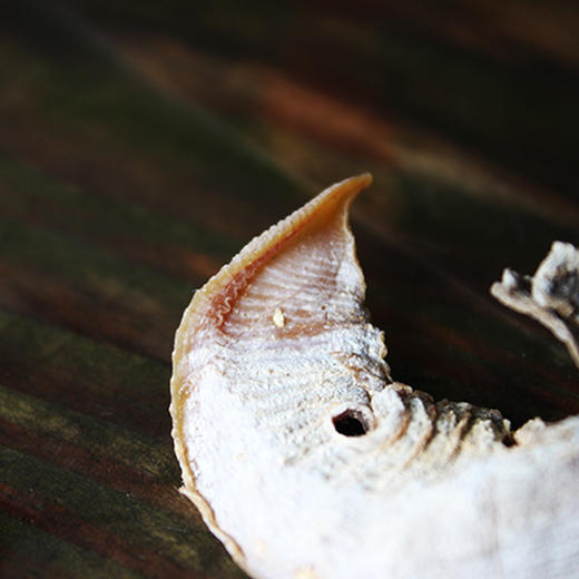 浔隐山 马蹄笋干 毛竹笋 干货食材辅料 笋干嫩笋 200g/袋 商品图0