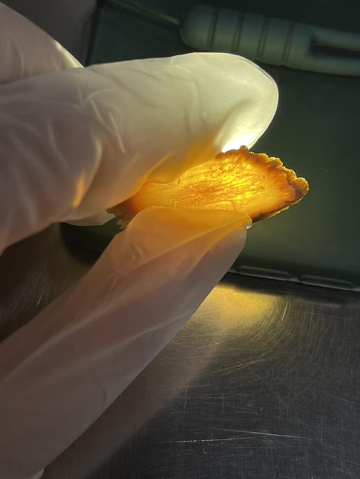 高丽参原枝切片克价 商品图3