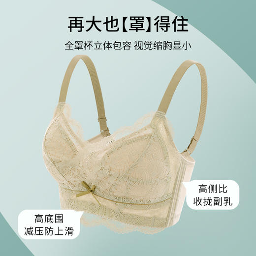 雅黛丽内衣大胸显小女薄款性感蕾丝聚拢全罩杯调整型无钢圈文胸罩 商品图2
