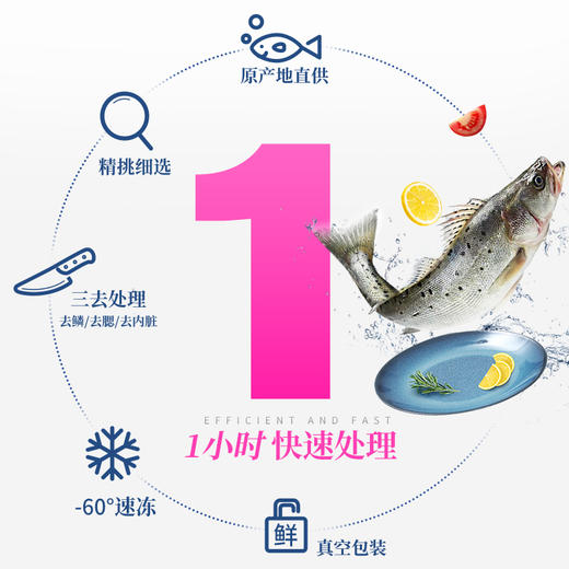 【拍一发三】三去海鲈鱼共1.5kg 商品图3