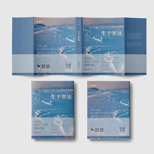 生于寒冰 保罗·尼克伦 著 科普读物 商品图3