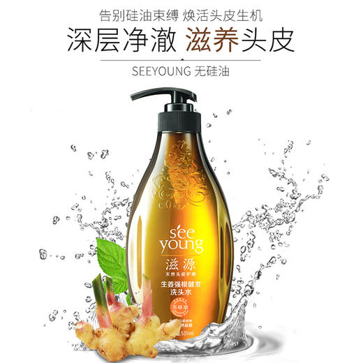 滋源生姜强根健发洗头水（中干性头皮）535ml 商品图0