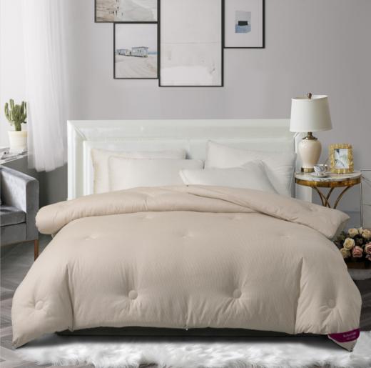 【百富精选】悦家羽丝绒冬被 商品图6