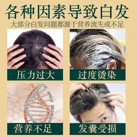 生姜防脱洗发水 去屑止痒洗头膏防脱育发固发生姜姜汁洗发露 商品图3