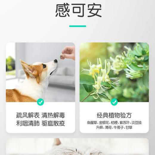 【临期到26年1月】小宠感可安 感冒咳嗽 纯中药制剂 商品图2