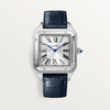 卡地亚 Cartier Santos-Dumont 腕表 加大号 精钢 手动上链 WSSA0032 商品缩略图0
