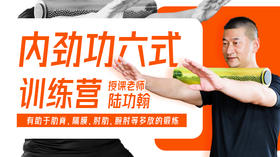【免费试看】3—脊内劲功（转珠滚轴）课程