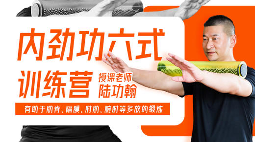 【免费试看】3—脊内劲功（转珠滚轴）课程 商品图0