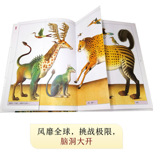 【张泉灵】 想象力+奇幻岛 商品图6