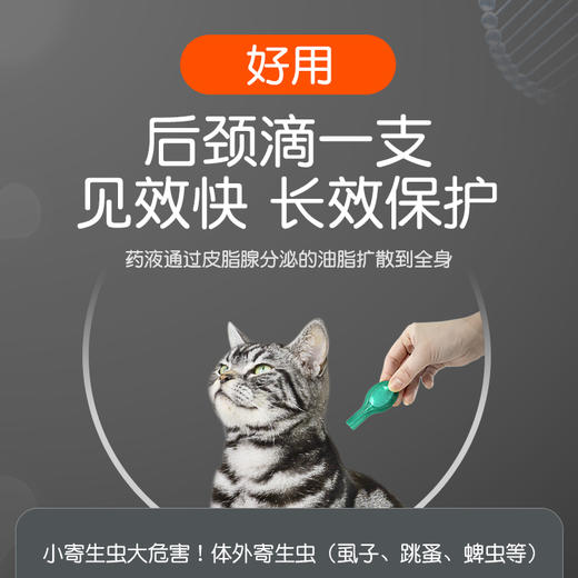 小宠虱敌滴剂0.5ml*1管【猫用】体外驱虫 猫咪专用 商品图3