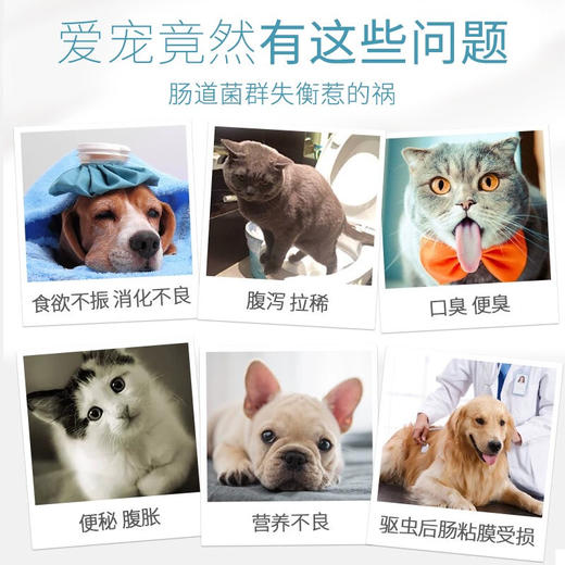 新宠之康宠物益生菌狗狗猫咪通用益生菌幼犬幼猫肠胃宝5g*10袋 商品图4