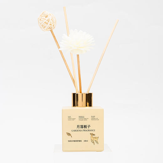 怡妮诗仲夏绮梦香氛香薰100ml   （221019） 商品图4