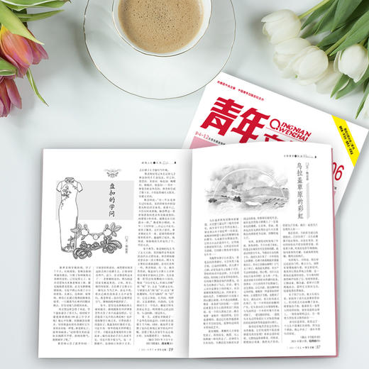 【赠孙子兵法】青年文摘 2025年1月-2025年12月  每月2期  共24期 商品图9