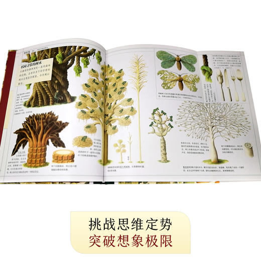 【张泉灵】 想象力+奇幻岛 商品图7