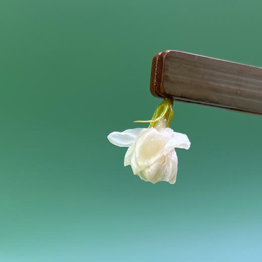 非遗传承 品质保证【谢大高】横州茉莉花 广西横县地标 鲜花制作 袋袋香甜 伴着花香好入眠 20包/袋 商品图4