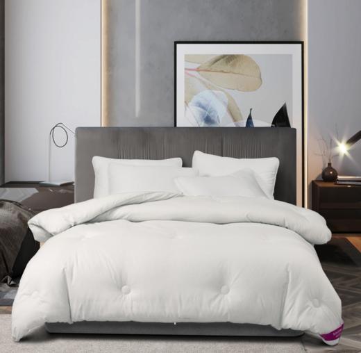 【百富精选】悦家羽丝绒冬被 商品图5