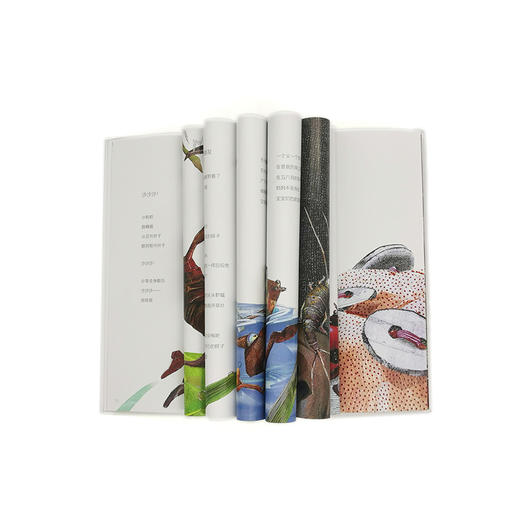 昆虫万岁    二年级共读书小学生2年级课外读物名师推荐 商品图2