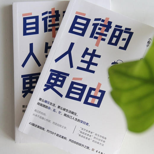 自律的人生更自由 小椰子 著 励志与成功 商品图2