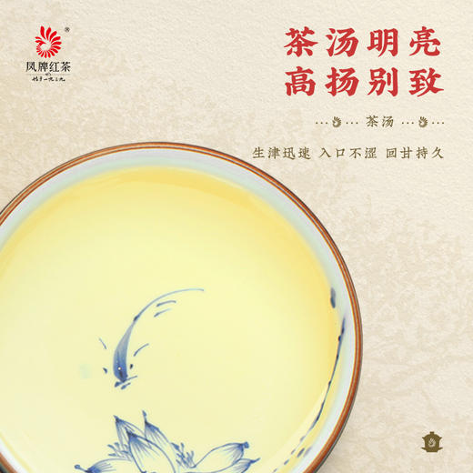凤牌·锦绣古茶100g小饼系列生茶普洱茶 商品图3