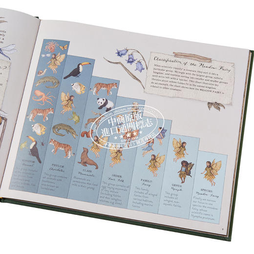 预售 【中商原版】A Natural History of Fairies 仙子的自然史 英文原版 进口原版 6岁到10岁 精装 插图童书 Emily Hawkins 商品图4