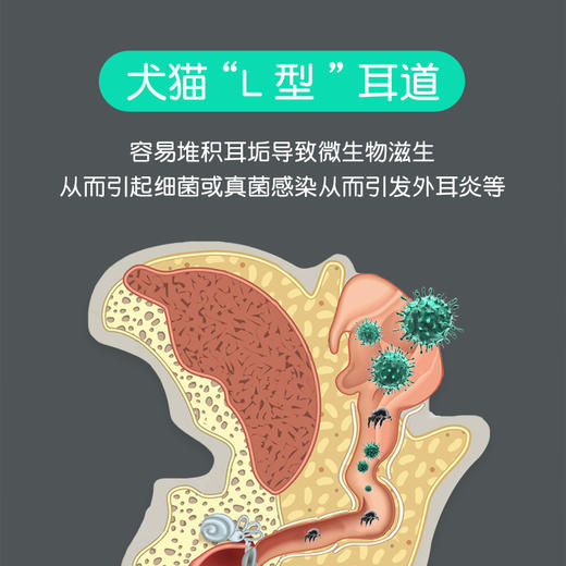 【小宠套装】洁耳舒+耳净康耳朵清洁套装 耳部护理 商品图1