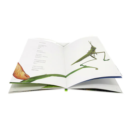 昆虫万岁    二年级共读书小学生2年级课外读物名师推荐 商品图1