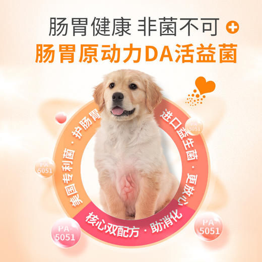 麦德氏IN-BASIC宠物益生菌宠物猫咪狗狗肠胃舒缓肠胃保护5g*5包 商品图3
