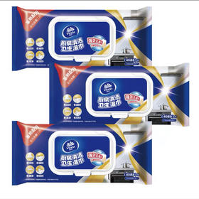 维达厨房清洁卫生湿巾VW4002（40送8片）