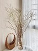 【限时折扣】雪柳干枝枯插花水培鲜花 雪柳70/80厘米10支+营养液1袋 商品缩略图7