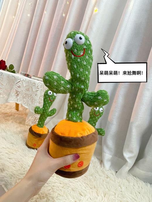 【限时折扣】跳舞仙人掌  英文【充电版】唱歌跳舞学话录音发光 商品图5