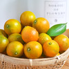 【广西脆皮金桔】 34.9元起3斤装/5斤彩箱装富含维生素c 现摘现发 脆甜可口 带皮即食 商品缩略图0