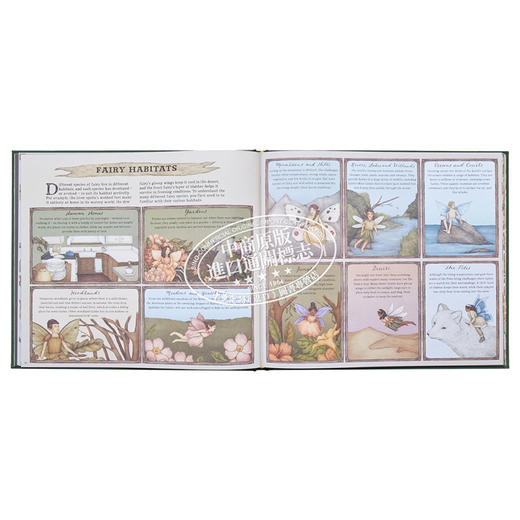 预售 【中商原版】A Natural History of Fairies 仙子的自然史 英文原版 进口原版 6岁到10岁 精装 插图童书 Emily Hawkins 商品图7