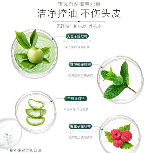 滋源无患子控油清爽洗头水265ml 商品图2
