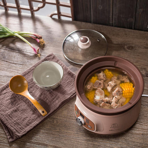 小熊（Bear）2L 电炖锅 电砂锅BB熬粥煮粥煲粥宝宝辅食煲汤锅 DDG-D20T5【ZMD安心系列】 商品图5
