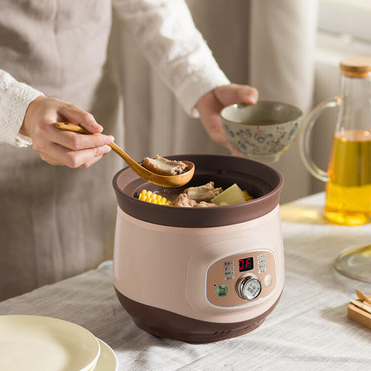 小熊（Bear）2L 电炖锅 电砂锅BB熬粥煮粥煲粥宝宝辅食煲汤锅 DDG-D20T5【ZMD安心系列】 商品图3