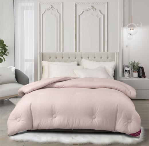 【百富精选】悦家羽丝绒冬被 商品图0