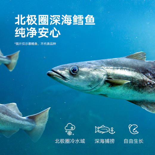 【宝宝馋了】纸片鳕鱼脆（海苔）  非油炸  送12月+婴幼儿食谱 商品图2