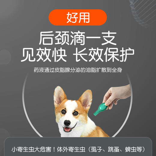 小宠虱敌滴剂0.67ml*1管【小型犬】 体外驱虫 商品图3