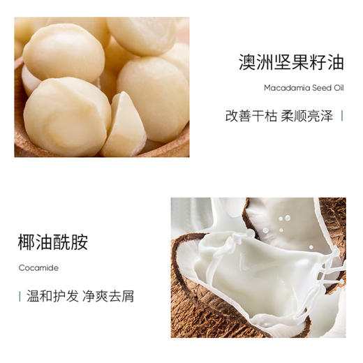 欧贝斯去屑洗发露（营养修护型）750ml 商品图2