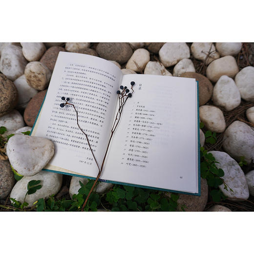 译家之言-英诗的境界 商品图1