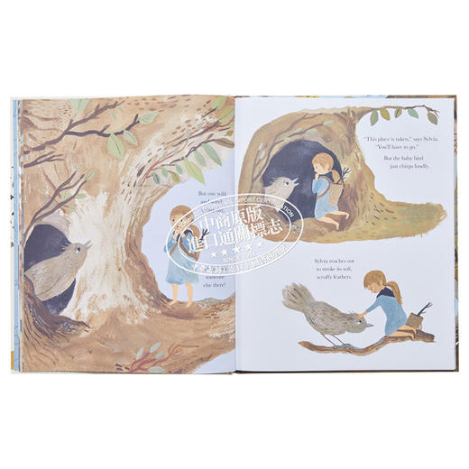 【中商原版】Gemma Koomen：树林保护者 The Tree Keepers 名家绘本 美的启蒙 低幼童书 亲子阅读 精装 3~6岁 英文原版 商品图7