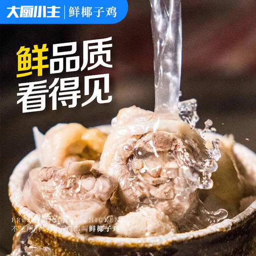 自然养殖 订单鲜宰 纯鲜椰汁 | 大厨小主 正宗海南文昌鲜椰子鸡火锅2.5KG[福利品] 商品图1