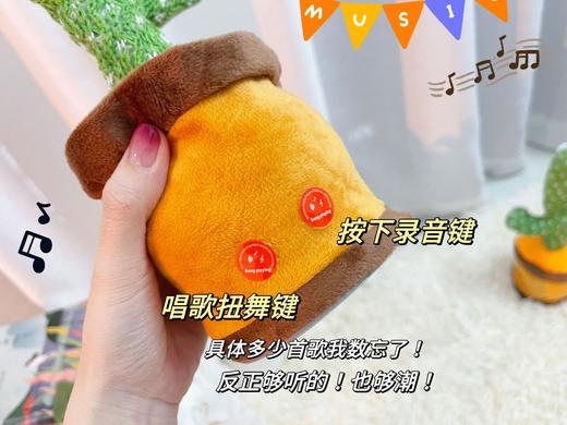 【限时折扣】跳舞仙人掌  英文【充电版】唱歌跳舞学话录音发光 商品图4