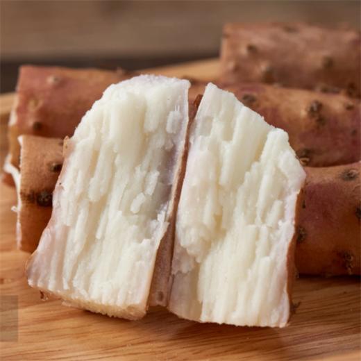 【杨博士甄选】温县铁棍山药5斤装 商品图4